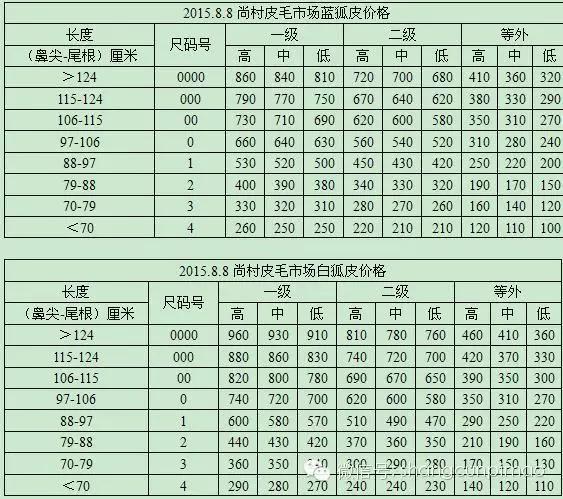 尚村藍狐皮最新價格,尚村藍狐皮最新價格動態(tài)分析