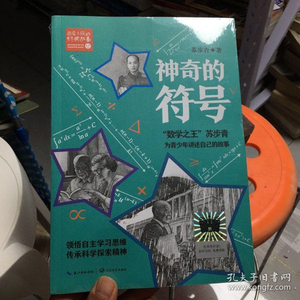 一肖一碼一一肖一子,一肖一碼一一肖一子，探尋神秘符號(hào)背后的故事