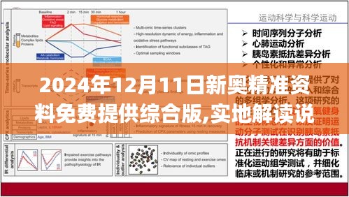 2024年12月24日 第19頁