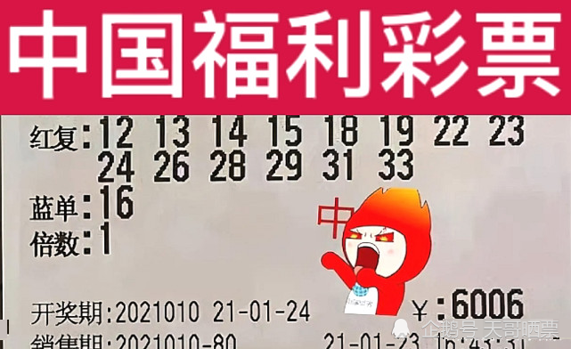 新澳2024今晚開獎結(jié)果,新澳2024今晚開獎結(jié)果，期待與驚喜交織的時(shí)刻