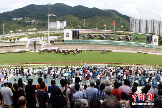 香港馬資料更新最快的,香港賽馬資料更新的速度與深度，與時(shí)俱進(jìn)，領(lǐng)先行業(yè)前沿