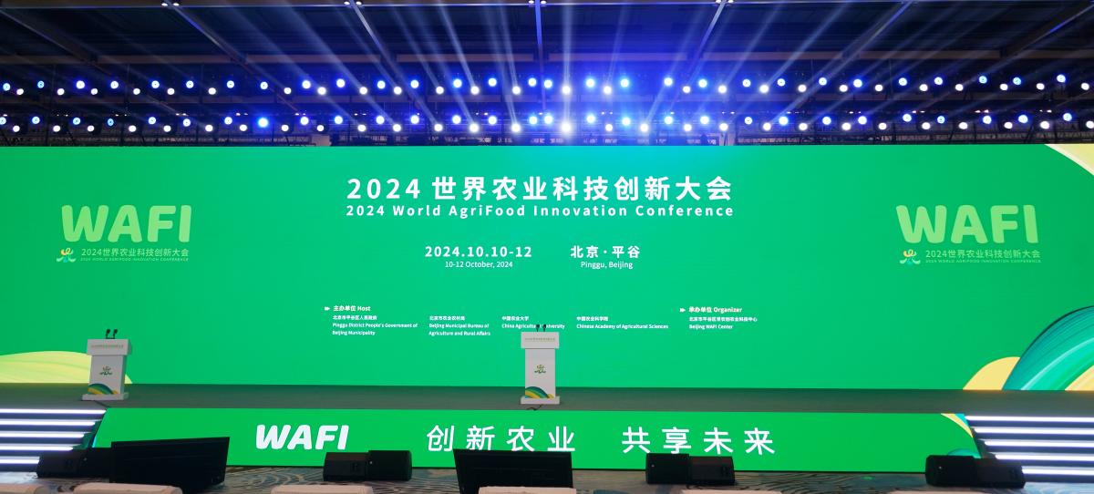 2024年資料大全免費,邁向未來，2024年資料大全免費共享時代