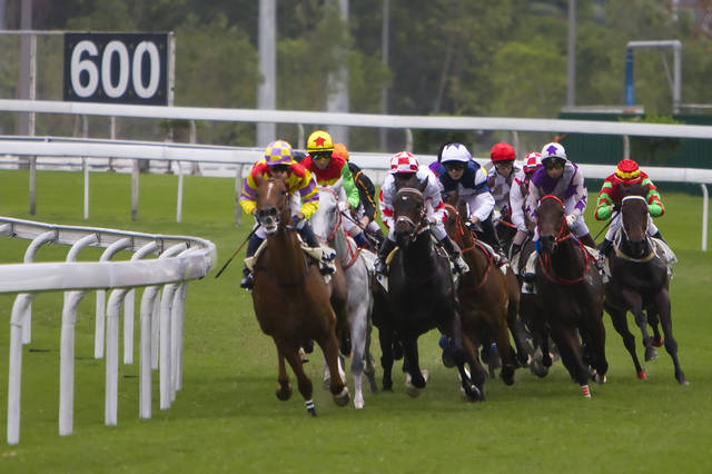 2024今晚香港開特馬開什么,探索香港賽馬文化，2024今晚香港特馬展望