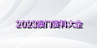 2024澳門正版資料免費大全,澳門正版資料免費大全，探索與啟示（2024版）