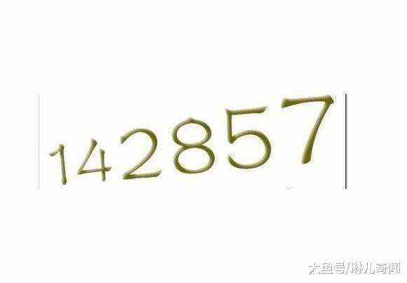 7777788888一肖一碼,探索神秘?cái)?shù)字組合，77777與88888一肖一碼的魅力與啟示