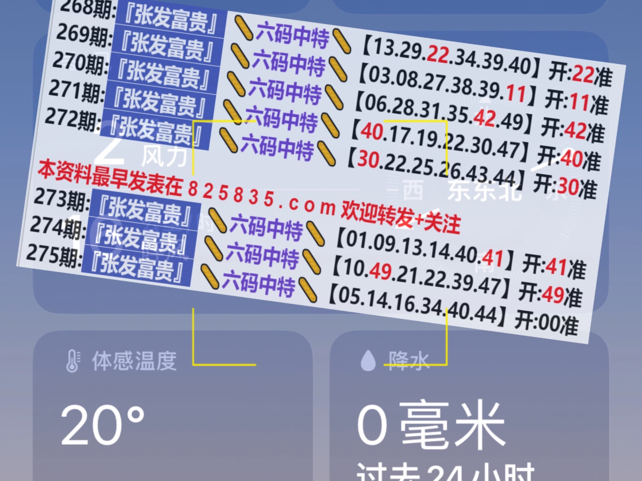 2024新奧門天天開好彩大全85期,探索新奧門天天開好彩大全的奧秘，第85期展望與解析