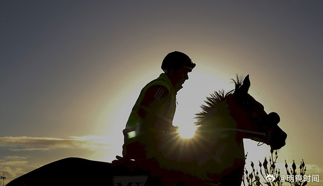 2024澳門特馬今晚開獎93,澳門特馬今晚開獎93，期待與驚喜的交融