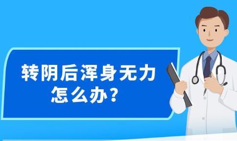 2024年12月30日 第41頁