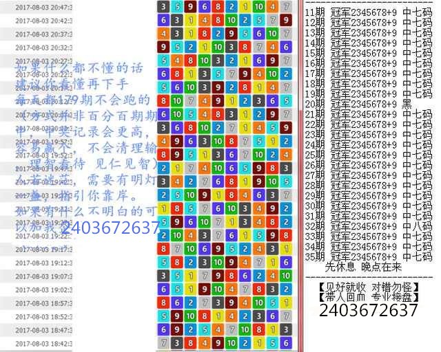 新澳門王中王100%期期中,新澳門王中王，揭秘期期中的秘密