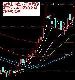 一碼一肖100準碼,一碼一肖的獨特魅力與精準度，揭秘準碼背后的秘密