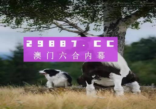 澳門今晚開特馬四不像圖,澳門今晚開特馬四不像圖——探索澳門賽馬文化的獨特魅力