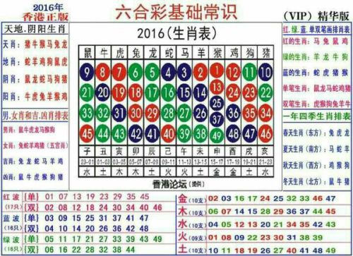 2024十二生肖49碼表,揭秘2024十二生肖與數(shù)字彩票的奧秘，一份詳盡的49碼表指南