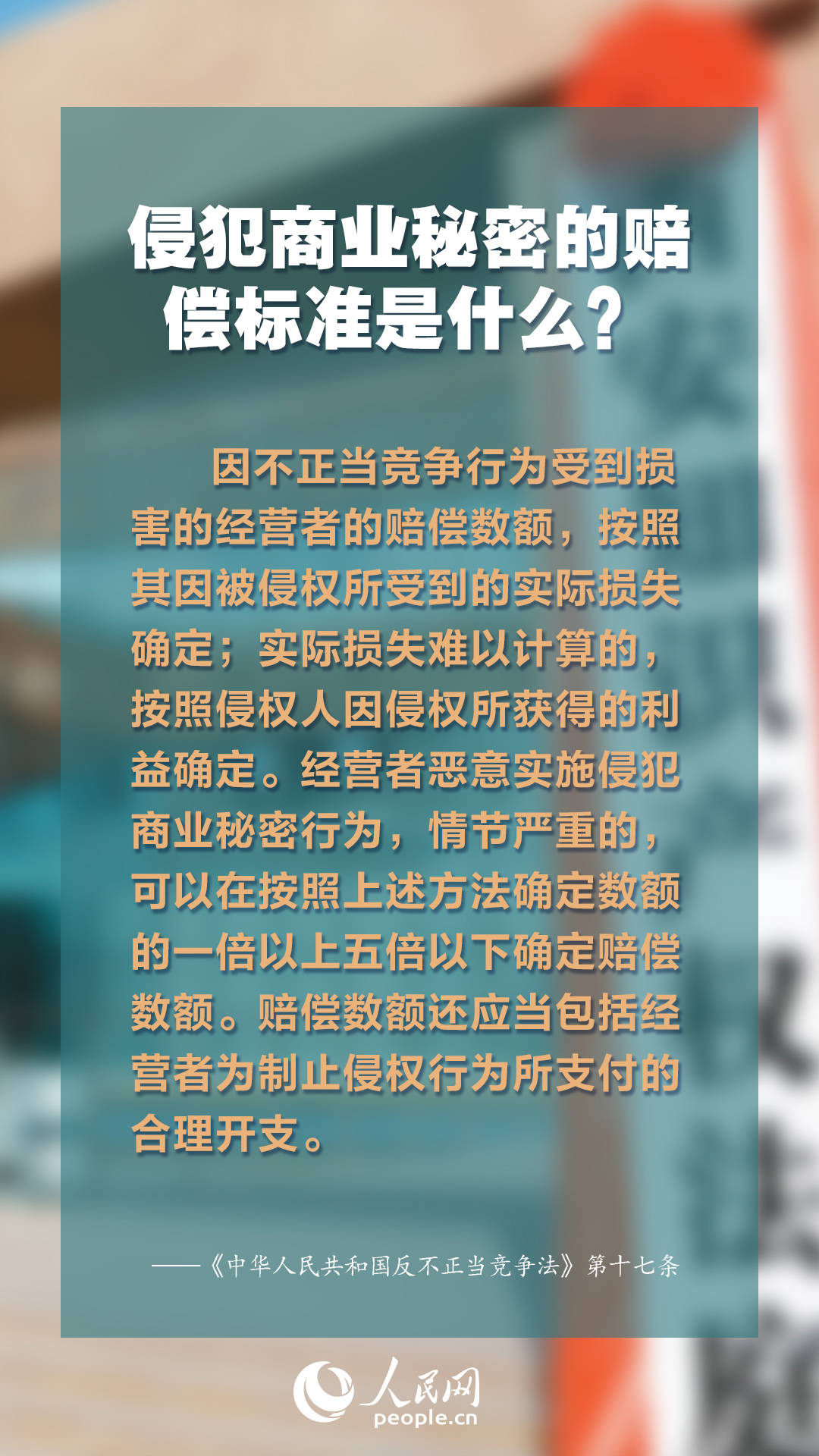 2024年正版資料大全免費(fèi)看,探索未來(lái)知識(shí)寶庫(kù)，2024正版資料大全免費(fèi)共享時(shí)代來(lái)臨