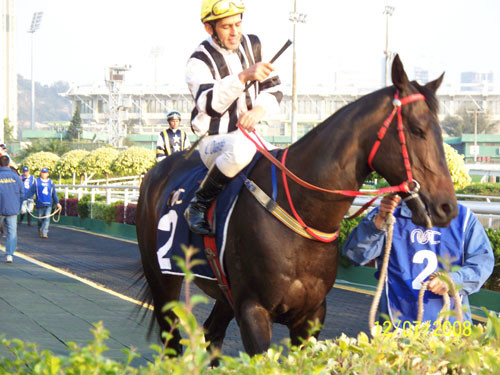 澳門今晚開特馬四不像圖,澳門今晚開特馬四不像圖——探索與解析