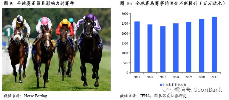 香港馬買馬網(wǎng)站www,香港馬買馬網(wǎng)站——探索在線賽馬世界的門戶