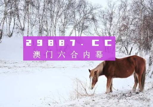 494949澳門今晚開什么,探索澳門今晚的開獎(jiǎng)秘密——494949背后的故事