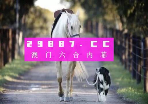 新澳2024年精準(zhǔn)一肖一碼,新澳2024年精準(zhǔn)一肖一碼，預(yù)測與探索