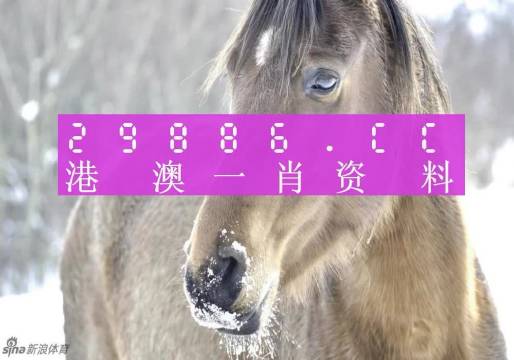 澳門平特一肖100%準(zhǔn)資點(diǎn)評(píng),澳門平特一肖，深度解析與精準(zhǔn)預(yù)測(cè)點(diǎn)評(píng)