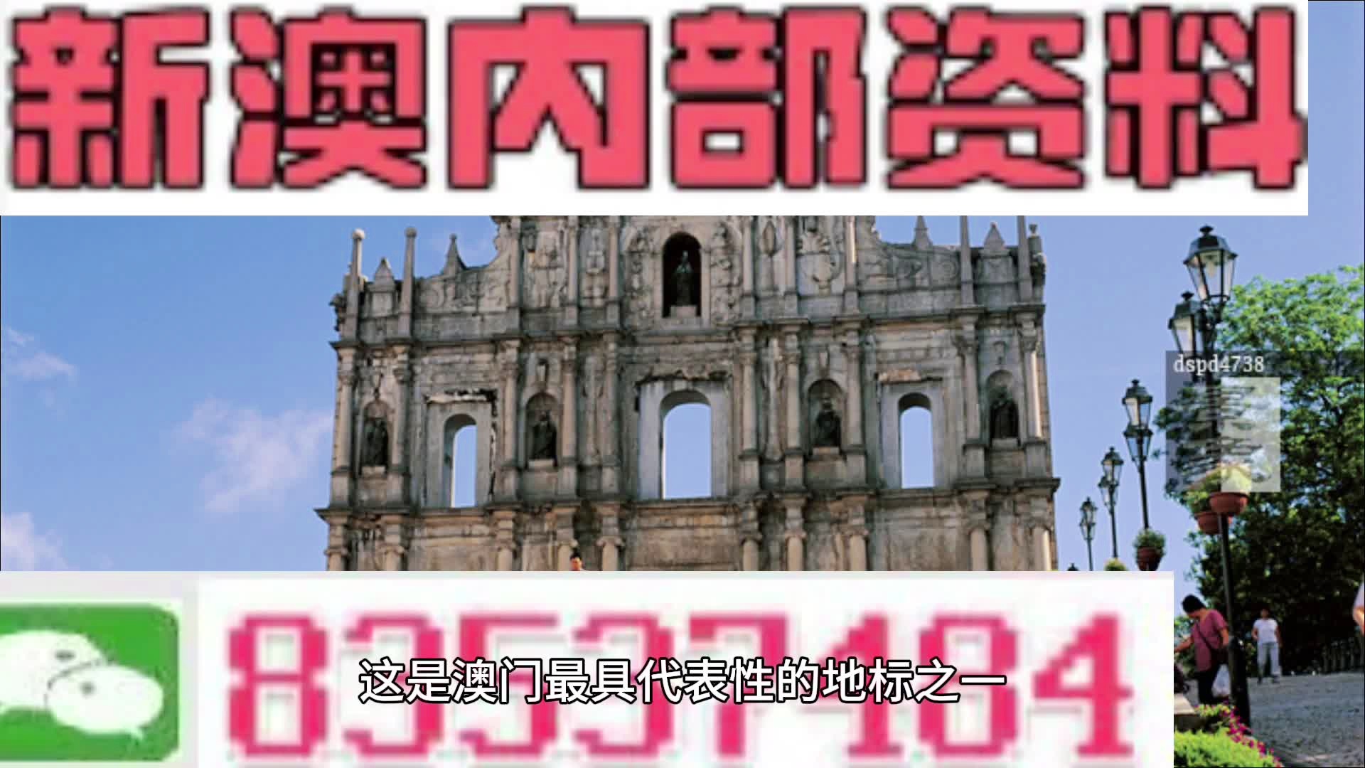 澳門一肖100準免費,澳門一肖100準免費——揭示背后的違法犯罪問題