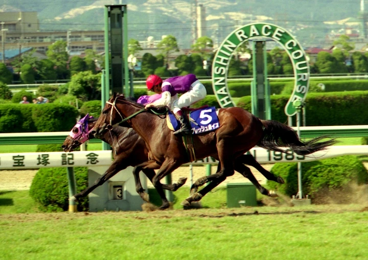 2024今晚香港開特馬,今晚香港開特馬，探尋賽馬文化中的激情與魅力