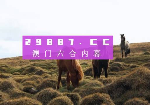 2024澳門特馬今晚開獎億彩網(wǎng),億彩網(wǎng)與澳門特馬，探索未來開獎的無限可能