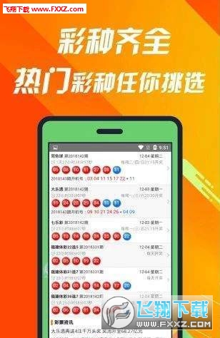 王中王493333中特1肖,王中王493333中特1肖的魅力與神秘