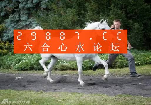 7777788888新版跑狗圖,探索新版跑狗圖，77777與88888的魅力交織