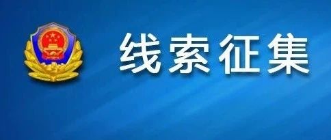 澳門正版資料免費大全新聞——揭示違法犯罪問題,澳門正版資料免費大全新聞——深入揭示違法犯罪問題的現(xiàn)實與應對