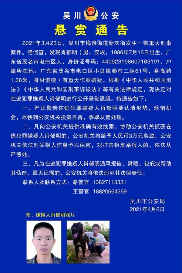 澳門一肖一特100精準免費,澳門一肖一特與犯罪問題，揭示真相與警示公眾