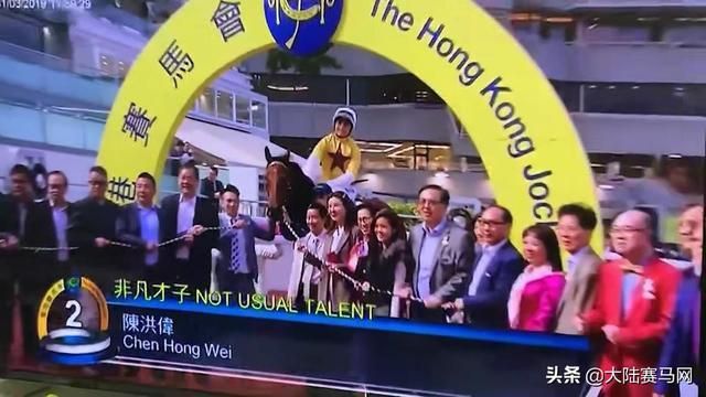 2024今晚香港開特馬開什么,探索香港賽馬文化，2024今晚特馬賽事展望