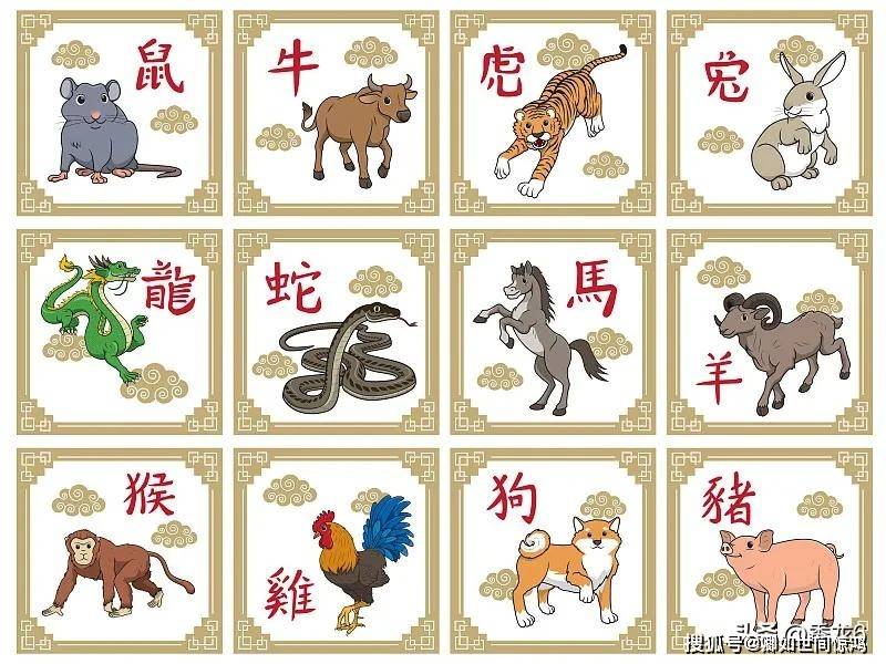 今晚9點(diǎn)30開什么生肖明,今晚9點(diǎn)30開什么生肖明，揭秘古老傳統(tǒng)與神秘生肖的魅力