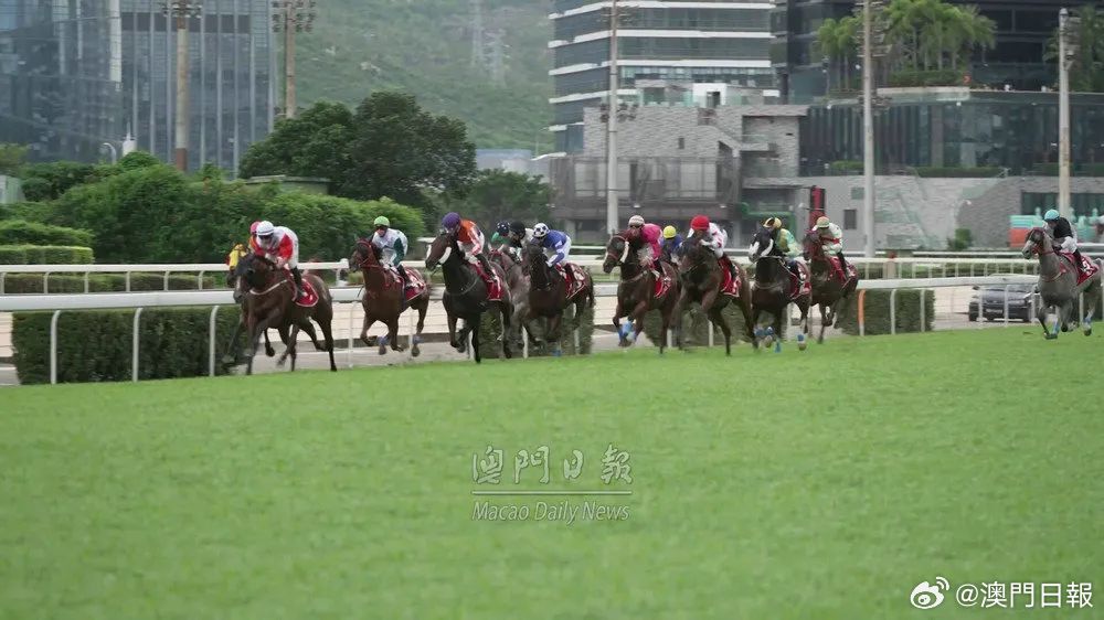 澳門六今晚開什么特馬,澳門六今晚開什么特馬，探索澳門賽馬文化的魅力