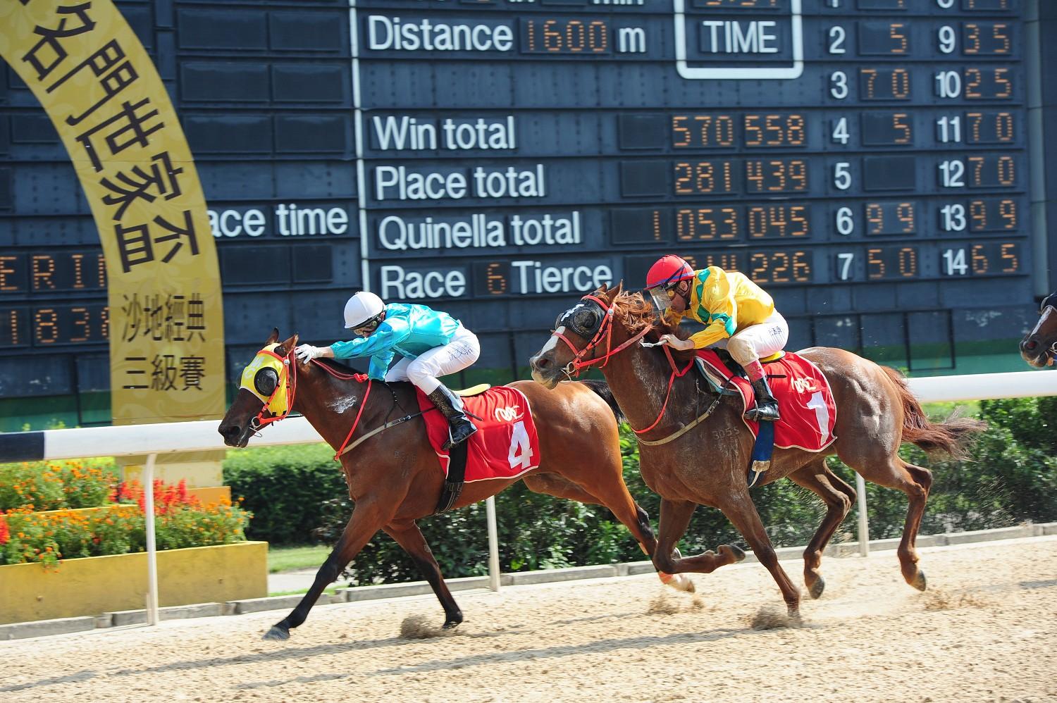 今晚澳門馬出什么特馬,今晚澳門馬會出什么樣的特馬？探索賽馬世界的神秘面紗