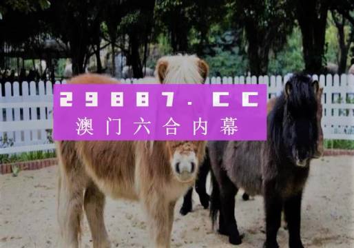 澳門二四六精準(zhǔn)大全,澳門二四六精準(zhǔn)大全，探索與解讀