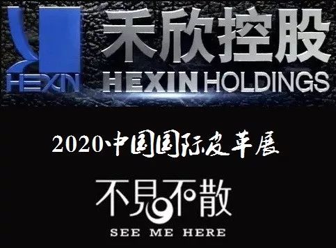 2024新奧門免費資料,探索新奧門，揭秘免費資料的無限可能（2024年展望）