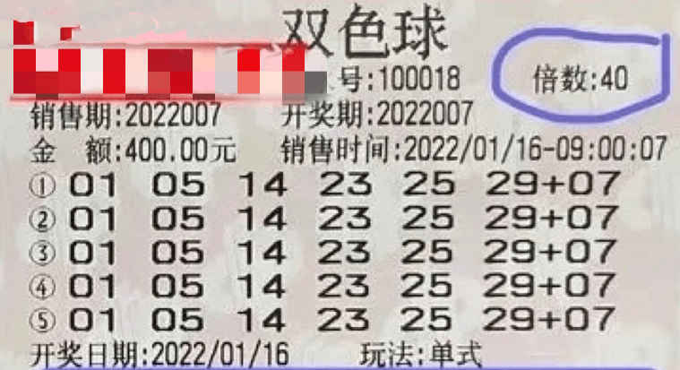 2024新澳門今晚開獎號碼和香港,新澳門與香港的未來，探索彩票開獎的奧秘與機遇