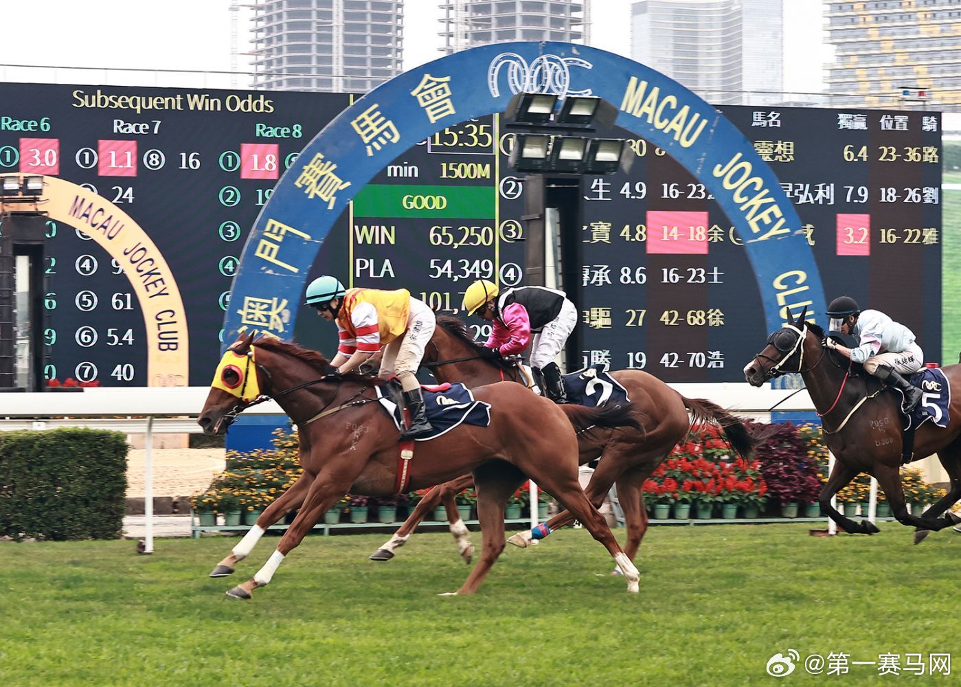 新澳今天開什么特馬,新澳今日賽馬盛況，探尋特馬開賽背后的故事