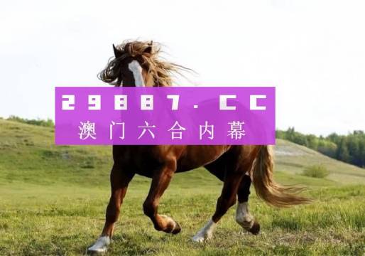 澳門六開獎(jiǎng)結(jié)果2023開獎(jiǎng)記錄查詢網(wǎng)站,澳門六開獎(jiǎng)結(jié)果2023開獎(jiǎng)記錄查詢網(wǎng)站，探索與解析