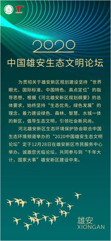 紅姐論壇資料大全,紅姐論壇資料大全，深度解析與探索