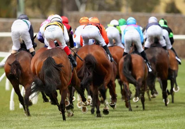 澳門今晚上開的特馬,澳門今晚上開的特馬——探索澳門賽馬文化