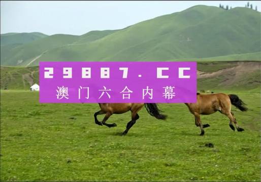 7777788888精準(zhǔn)跑狗圖,探索精準(zhǔn)跑狗圖，神秘的數(shù)字組合77777與88888的啟示