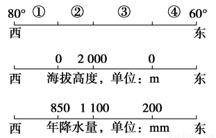 東成西就資料4肖八碼,東成西就資料解析，肖八碼的秘密