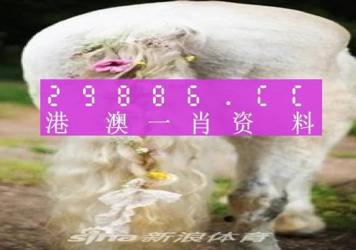 新澳門資料全年免費精準027期 01-05-10-26-27-34U：35,新澳門資料全年免費精準解析，探索第027期的數(shù)字奧秘（01-05-10-26-27-34U，35）